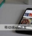 廣州拍賣商城app開發-廣州APP開發定制公司